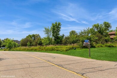 1750 WALES S-SW VIEW OF LOT