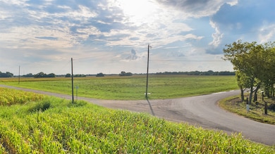 Lot 4 Farm To Market Road 985, Ennis, TX 75119 - photo 2