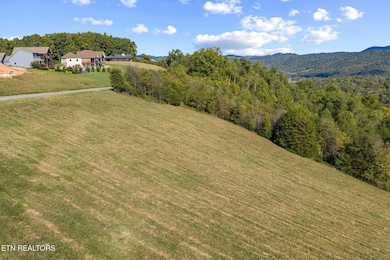 164 Feldspar Rd, New Tazewell, TN 37825 - photo 3