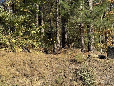 436 Riddle Mill Rd, Clover, SC 29710 - photo 3