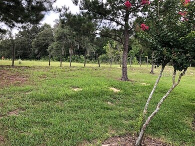 21630 Belgian Ct, Mount Dora, FL 32757 - photo 4