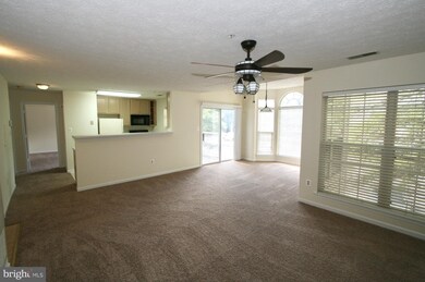 15602 Everglade Ln unit 204, Bowie, MD 20716 - photo 5