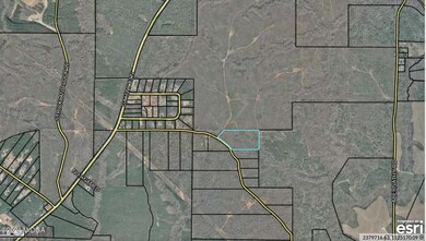 Large Aerial Map