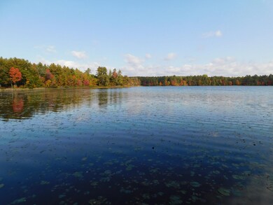 W606 Joe Johnson Rd, Suring, WI 54174 - photo 4