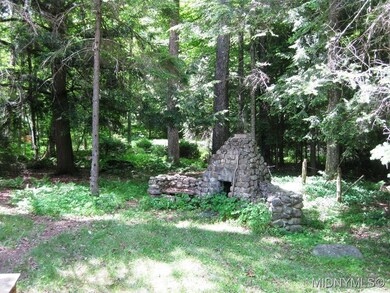 Large yard