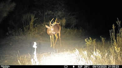 0 Fish Rd, Eastman, GA 31023 - photo 4