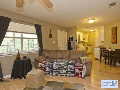 203 S Mitchell St unit 6, San Marcos, TX 78666 - photo 5