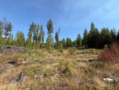 TBD Saint Peters Creek Rd, Malo, WA 99150 - photo 6