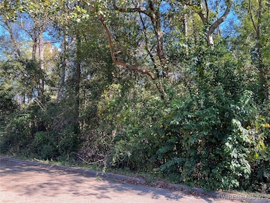 Lot 11 1/2 Lot 12 Berman St, Andalusia, AL 36421 - photo 3