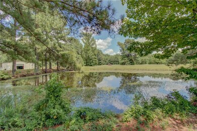 Pond