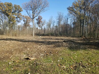 Junita Savage lot 2 Austin Ct.