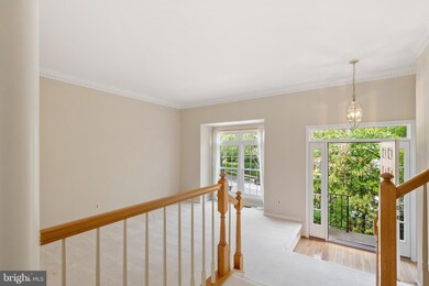 1206 Dartmouth Rd, Alexandria, VA 22314 - photo 7