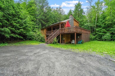87 Ski Bowl Rd, Hunter, NY 12442 - photo 3