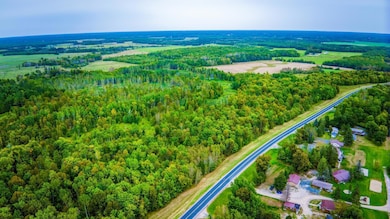 N Bduck lots aerial 2.jpeg