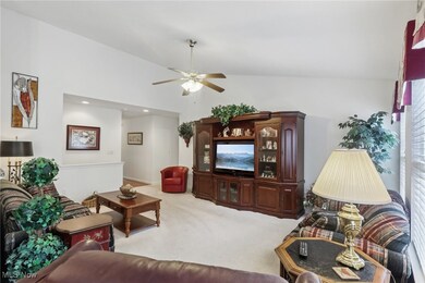 10492 Kerwick Ct, Aurora, OH 44202 - photo 4