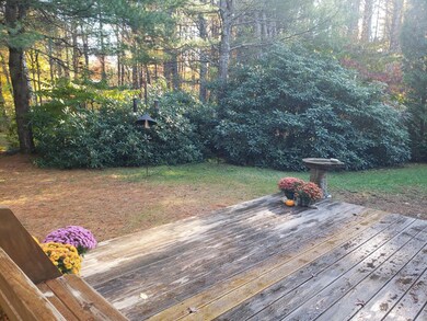 Deck and backyard