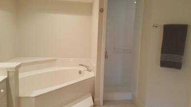 Master tub and seperate shower