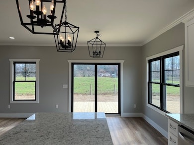 15840 Black Hollow Rd, Abingdon, VA 24210 - photo 7