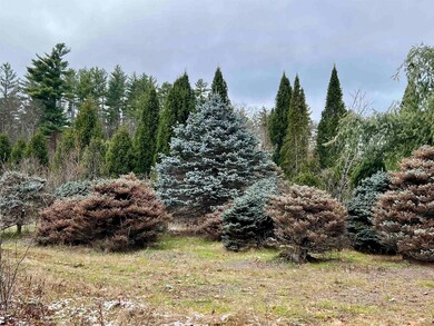 0 Mount Moosilauke Hwy unit 4-2A (PROPOSED), Wentworth, NH 03282 - photo 7