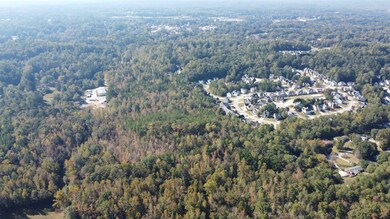 322 Old Acworth Rd, Dallas, GA 30132 - photo 6