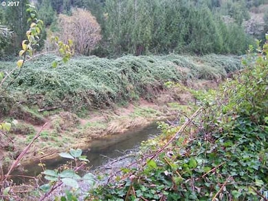 7290 N Fork Rd, Florence, OR 97439 - photo 7