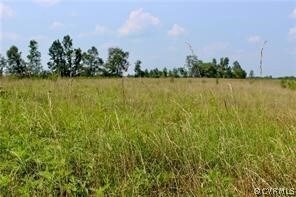 Open Pasture