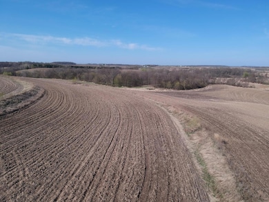 TBD Lake Ave, Shieldsville Township, MN 56052 - photo 4