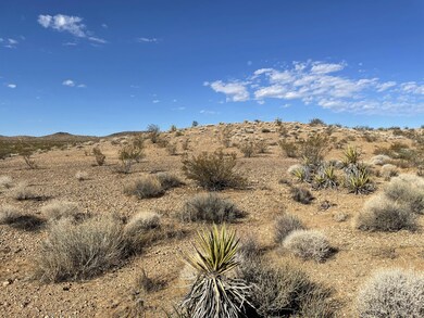 IMG_1890