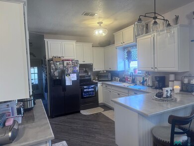 513 N Guadalupe St, Carlsbad, NM 88220 - photo 6