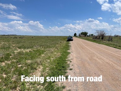 0 Clara Ln, McIntosh, NM 87016 - photo 6