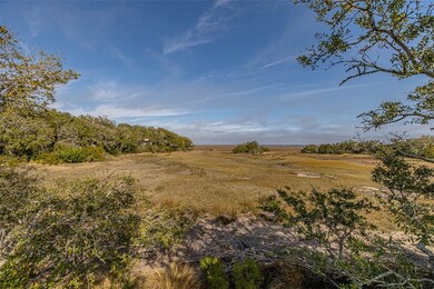 404 Palm Ct, Saint Simons Island, GA 31522 - photo 3