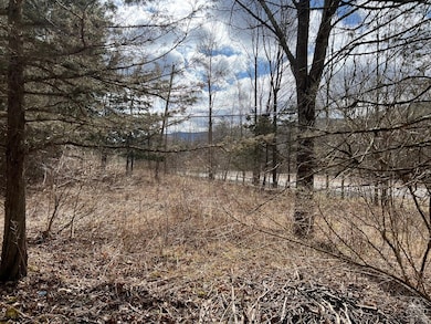 0 Route 23a unit 20253899, Lexington, NY 12452 - photo 4