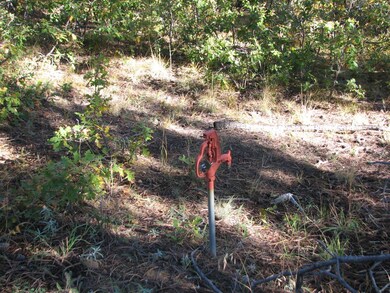 0 Gallinas Pkwy unit E17 24-248, Trinidad, CO 81082 - photo 5