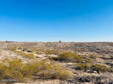 4374 Rc Gorman Loop, Las Cruces, NM 88011 - photo 4