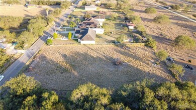 0 Mile 8 1 2 N, Donna, TX 78537 - photo 4