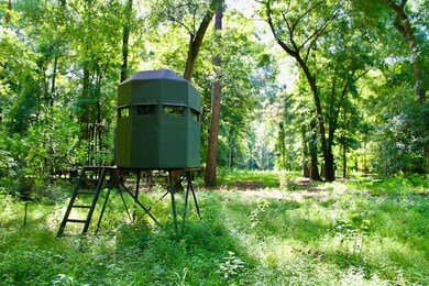 La 1071 unit LotWP001, Angie, LA 70426 - photo 2