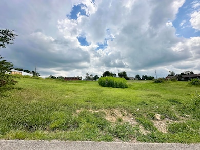 184 McGill Pine Grove Rd, London, KY 40744 - photo 7