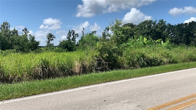 0 Sink Hole Rd unit MFRTB8408113, Bartow, FL 33830 - photo 3