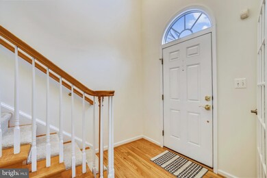 9802 Darcy Forest Dr, Silver Spring, MD 20910 - photo 4