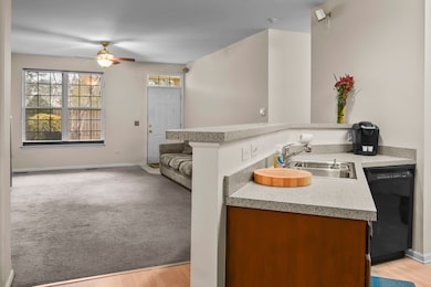 8815 Concord Ln unit G, Justice, IL 60458 - photo 6