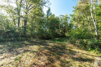 Parcel 1 Coppers Ford Rd, Tylertown, MS 39667 - photo 6