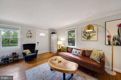 5805 Mount Vernon Dr, Alexandria, VA 22303 - photo 5