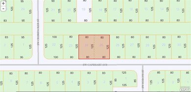 plat map