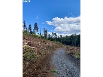 0 S Hult Rd, Beavercreek, OR 97004 - photo 7