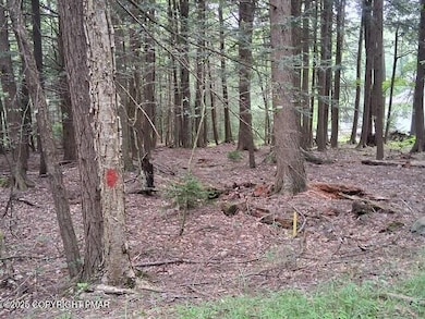 18 Robyn Ln, Pocono Lake, PA 18347 - photo 4