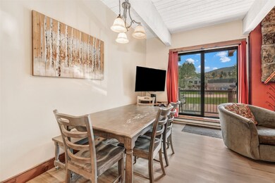 2355 Storm Meadows Dr unit 314, Steamboat Springs, CO 80487 - photo 7