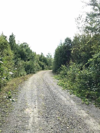 Lot 8 Steeple View Dr, Bethlehem, NH 03574 - photo 4