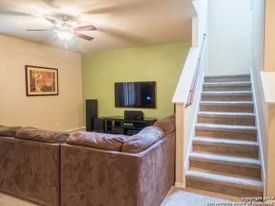 11211 Clusius, Helotes, TX 78023 - photo 6