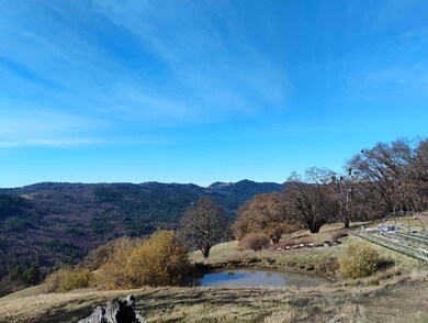 11 Bronco Ct, Dinsmore, CA 95526 - photo 2