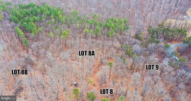 Lots 8A & 8B Reynolds Rd, Cross Junction, VA 22625 - photo 5